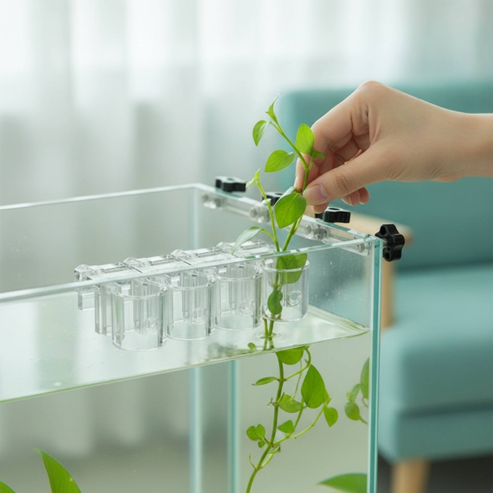 Aquarium Planting - Lot de 6 supports transparents pour