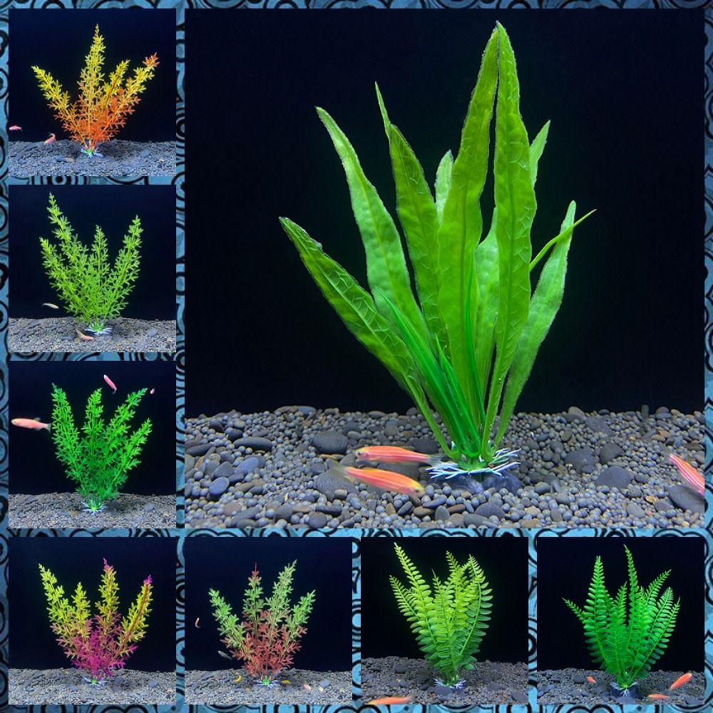 Planted Aquarium Bowl - Ornement de plante précieuse d'aquarium, décor