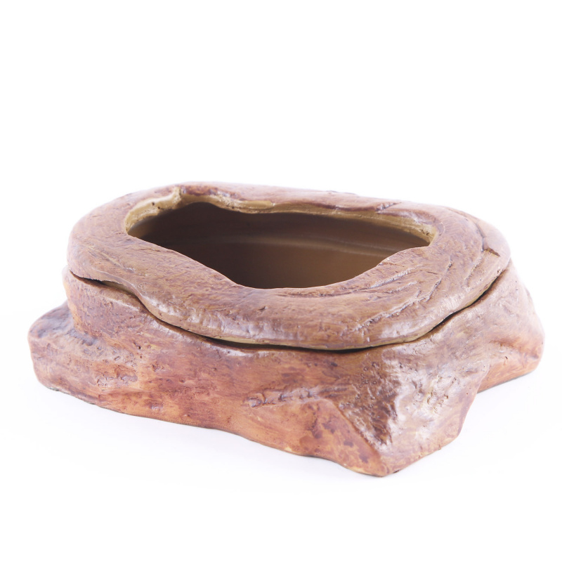 Planted Aquarium Bowl - Ornements d'aquarium, plantes aquatiques, aménagement paysager,