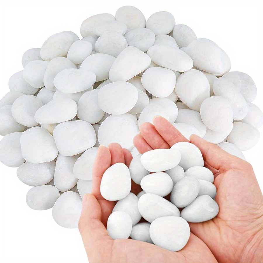 Aquarium Planting - Cerfsets naturels blancs hautement polis, 200/400g,