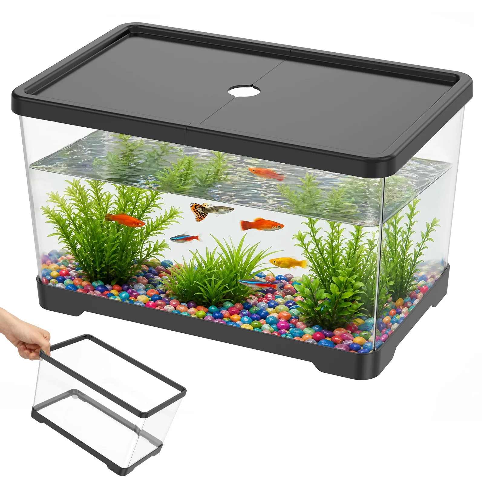 Planted Aquarium Bowl - Aquarium transparent avec couvercle, réservoir rectangulaire