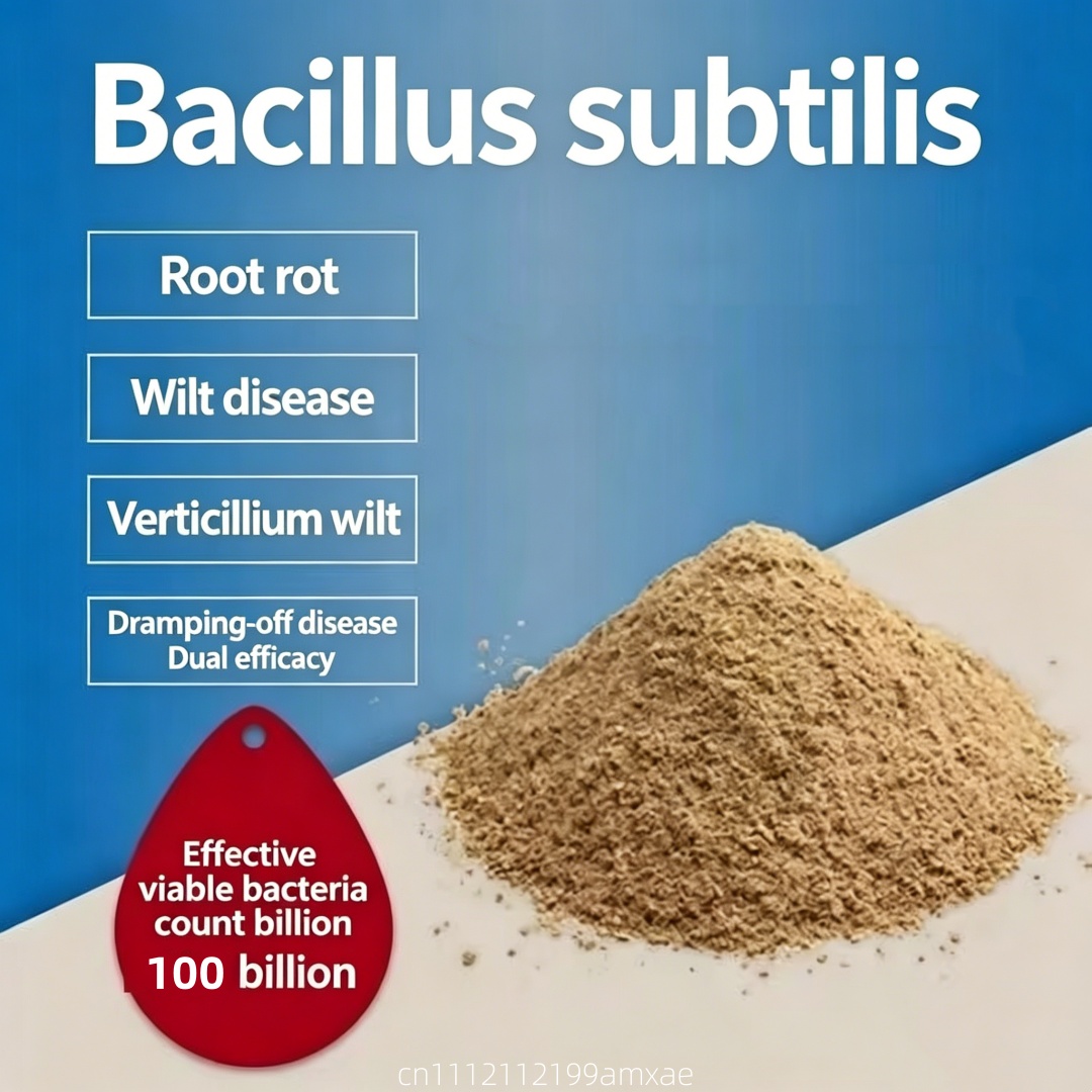 Aquarium Plant Fertilizer - Poudre de Bacillus Subtilis à haute