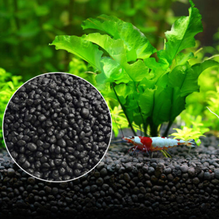 Aquarium Plant Grass - Sol de graines de plantes d'aquarium,