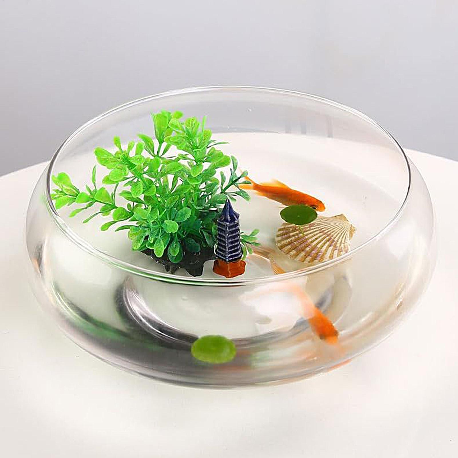 Planted Aquarium Bowl - Grand bol en verre pour poissons,