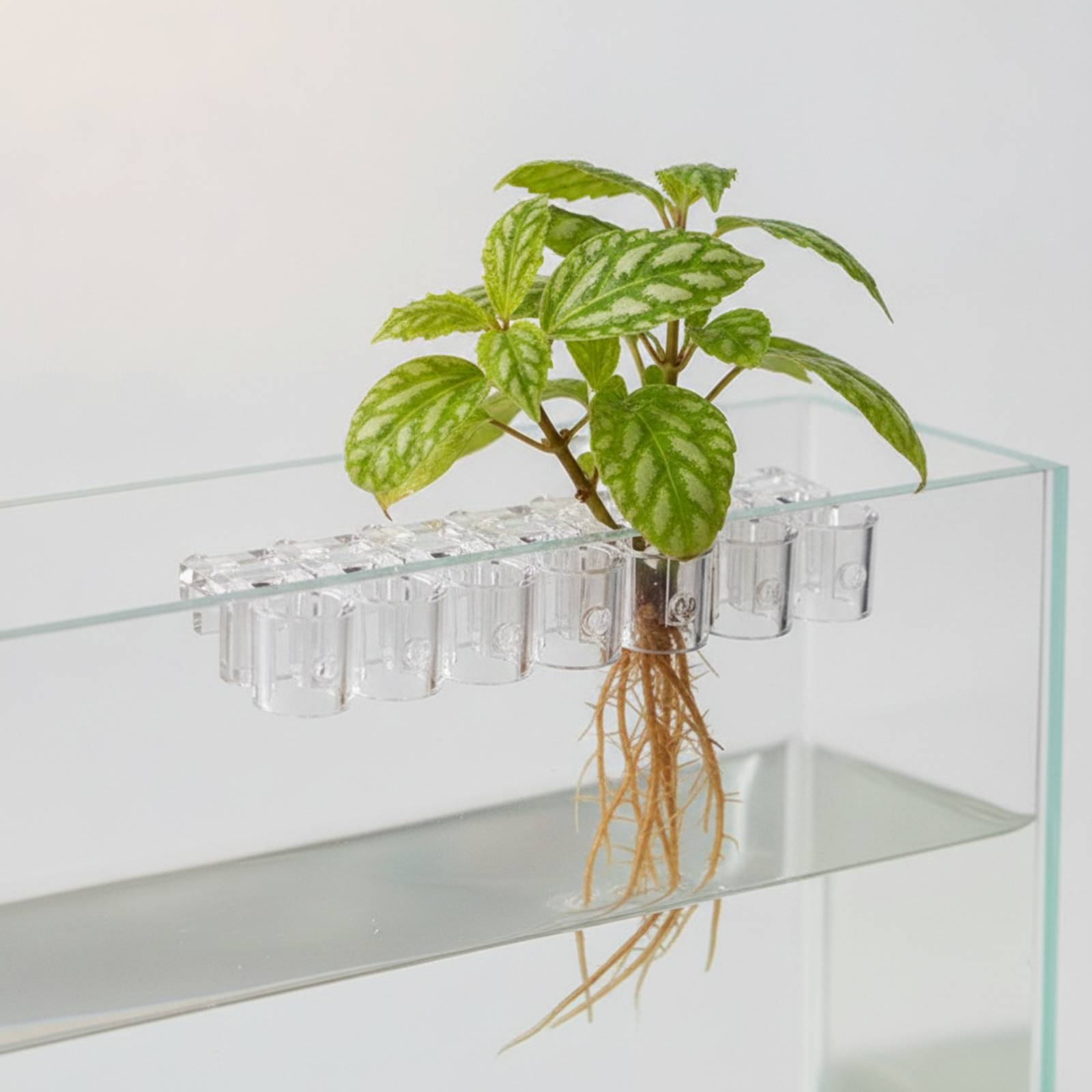 Lot de 6 supports transparents - Aquarium Planting avis et prix