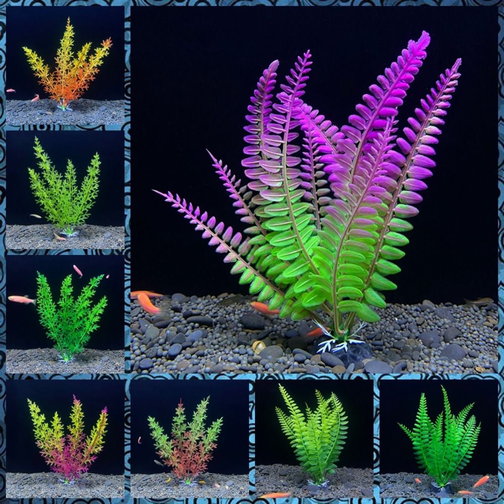 Ornement de plante précieuse d - Planted Aquarium Bowl avis et prix