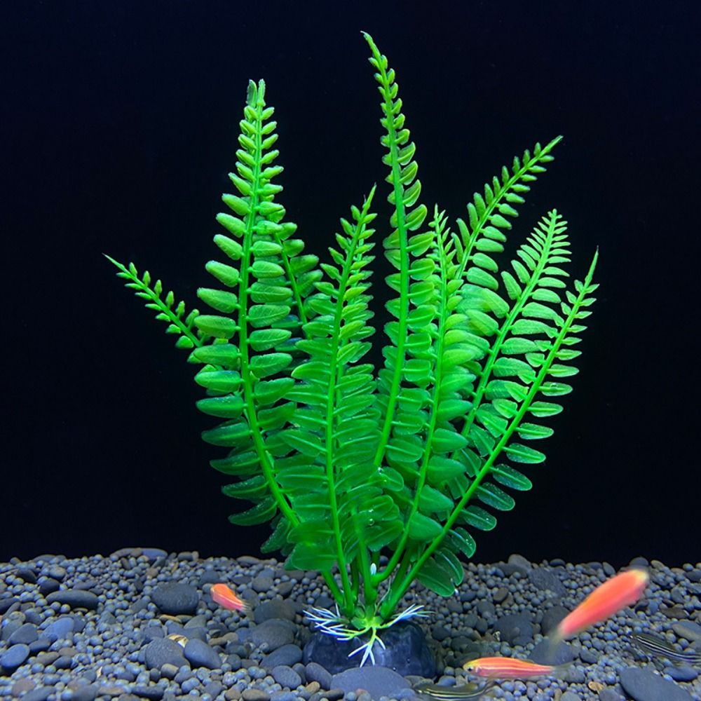 Ornement de plante précieuse d - Planted Aquarium Bowl avis et prix