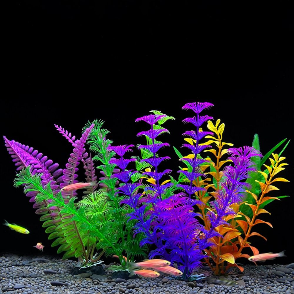 Ornement de plante précieuse d - Planted Aquarium Bowl avis et prix