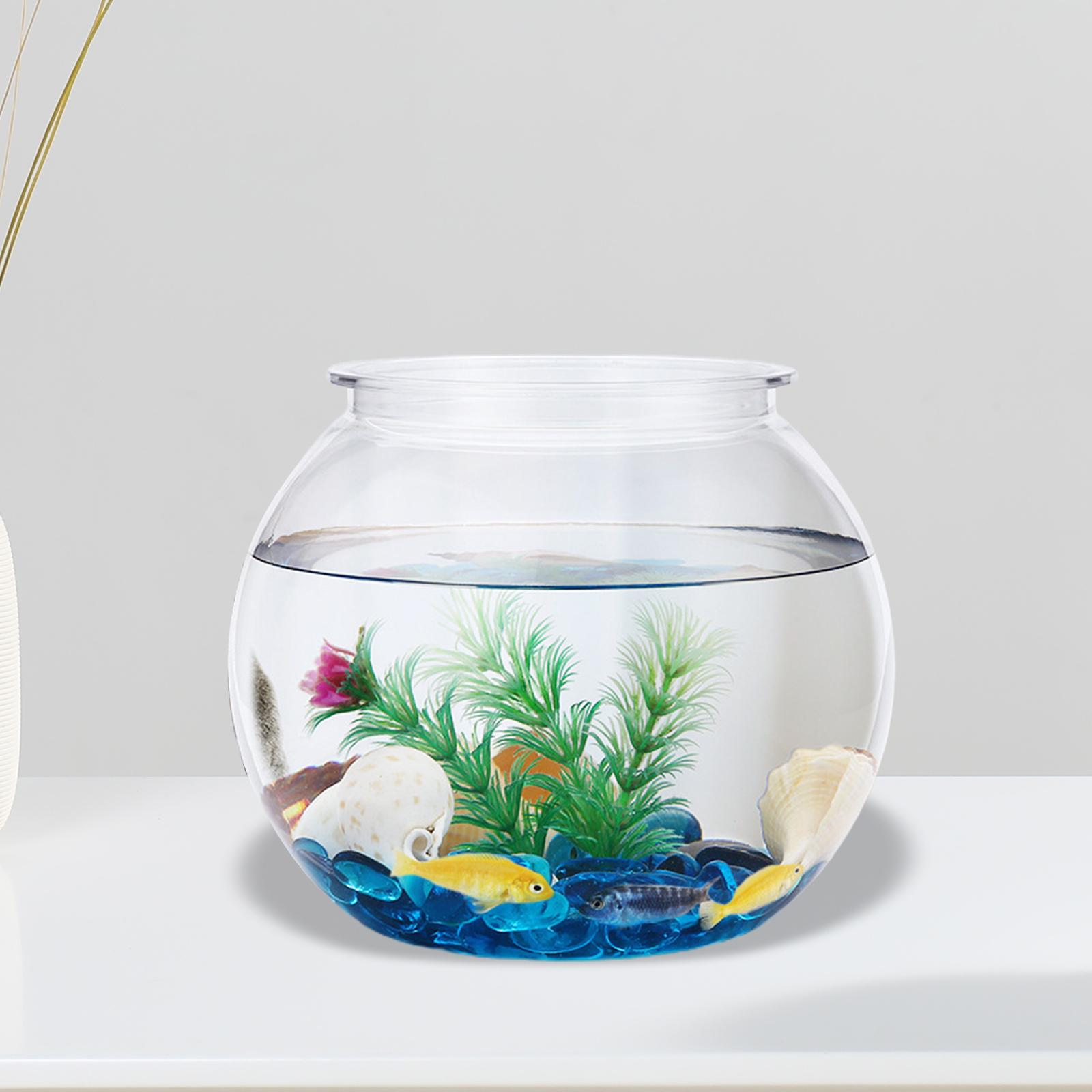 Petits Poissons Transparents,  - Planted Aquarium Bowl avis et prix