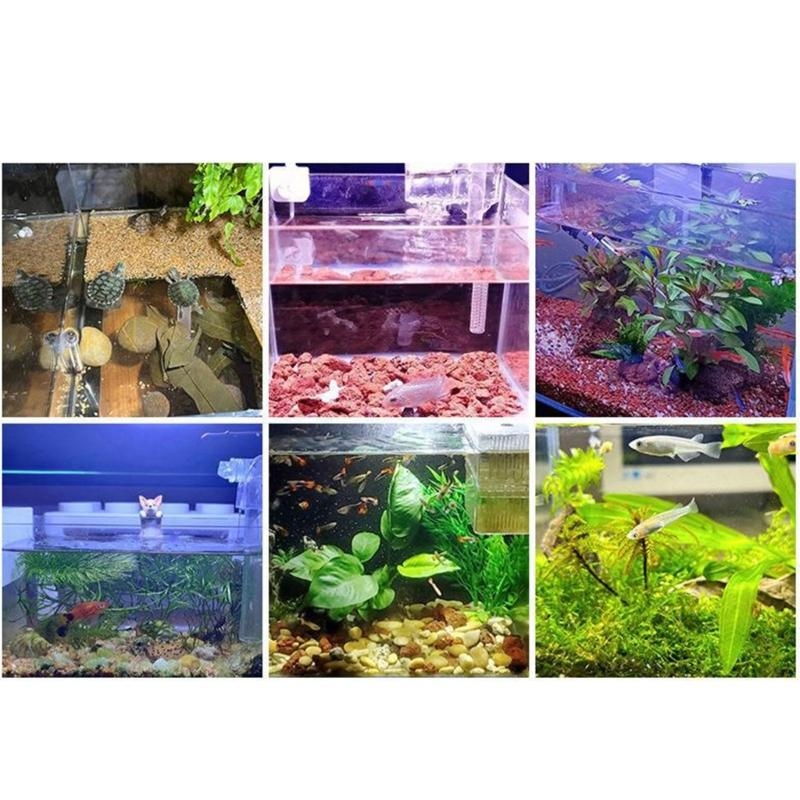 lumière Led pour petit Aquariu - Planted Aquarium Bowl avis et prix