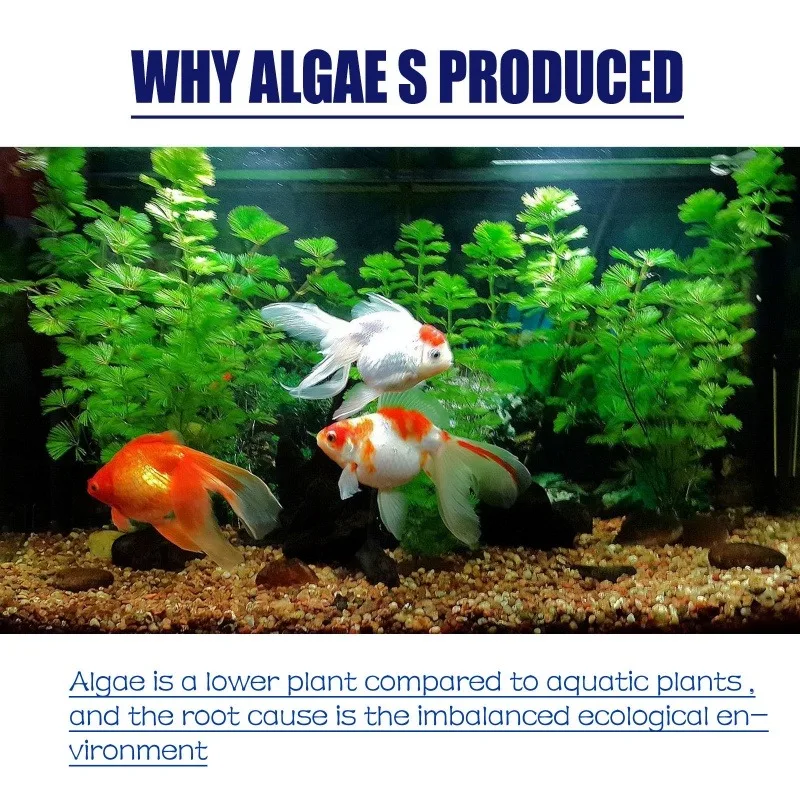 Algicide haute efficacité 50g  - Aquarium Plant Fertilizer avis et prix