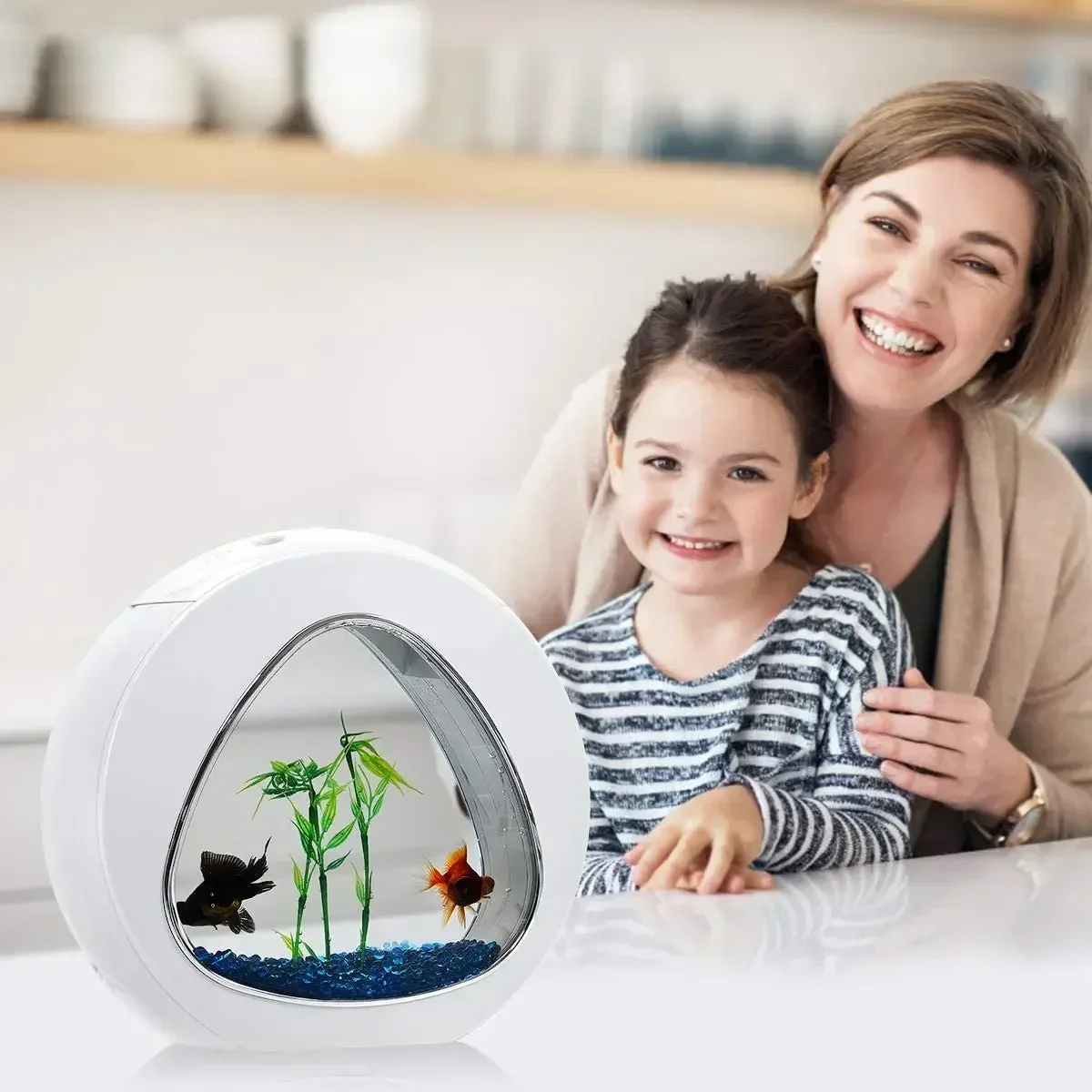 Aquarium Betta, aquarium avec  - Planted Aquarium Bowl avis et prix