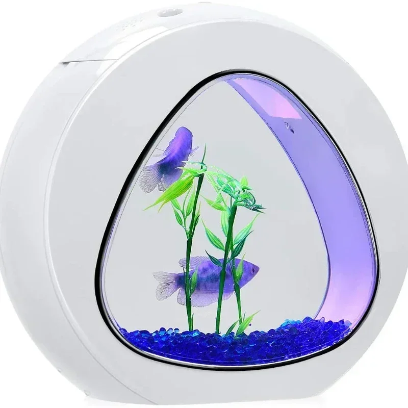 Aquarium Betta, aquarium avec  - Planted Aquarium Bowl avis et prix