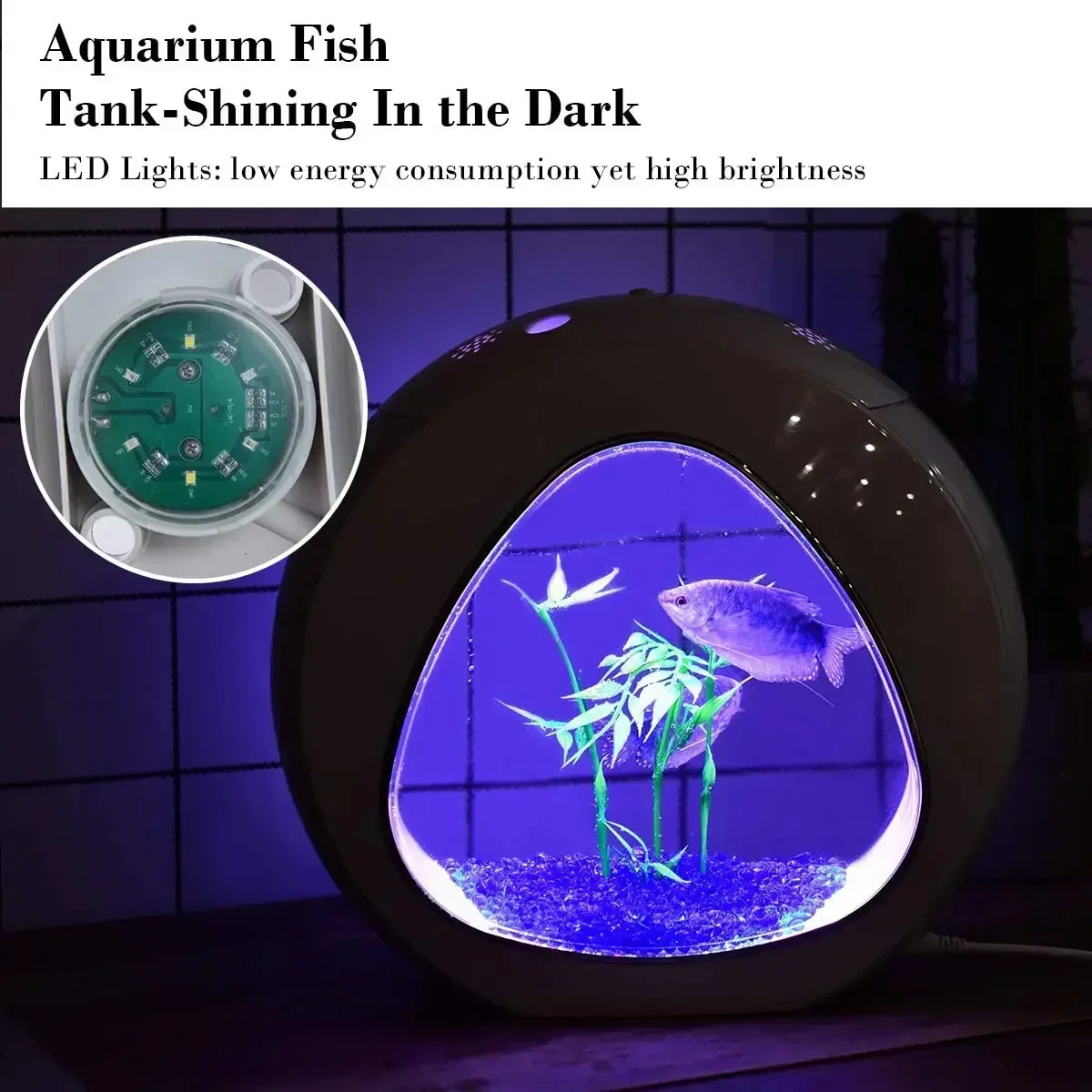 Aquarium Betta, aquarium avec  - Planted Aquarium Bowl avis et prix