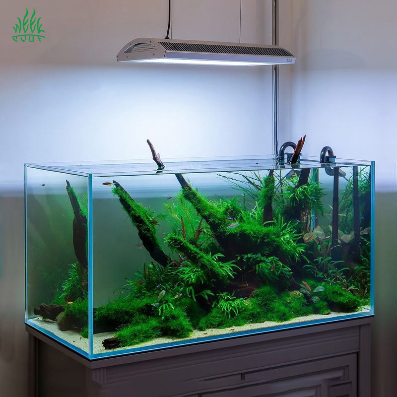Lampe LED pour aquarium Week A - Planted Aquarium Aquascape avis et prix