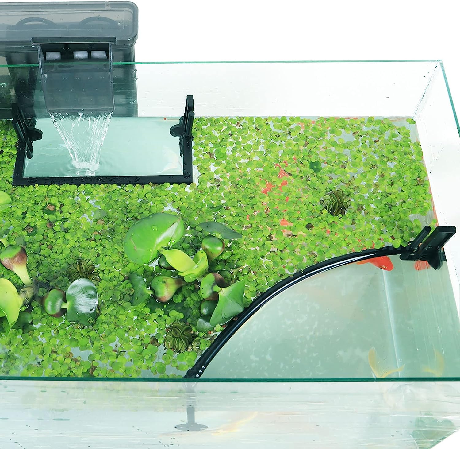 Corral de plantes flottantes p - Planted Aquarium Heater avis et prix