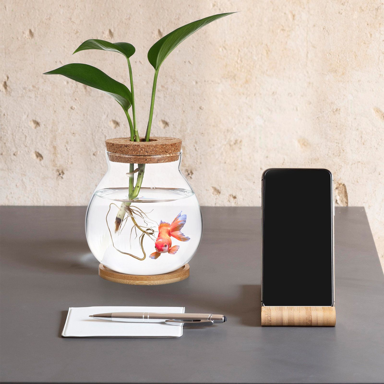 Aquarium de bureau en verre, p - Planted Aquarium Bowl avis et prix