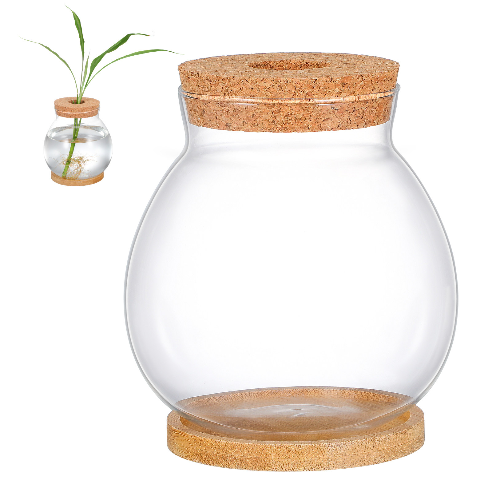 Aquarium de bureau en verre, p - Planted Aquarium Bowl avis et prix