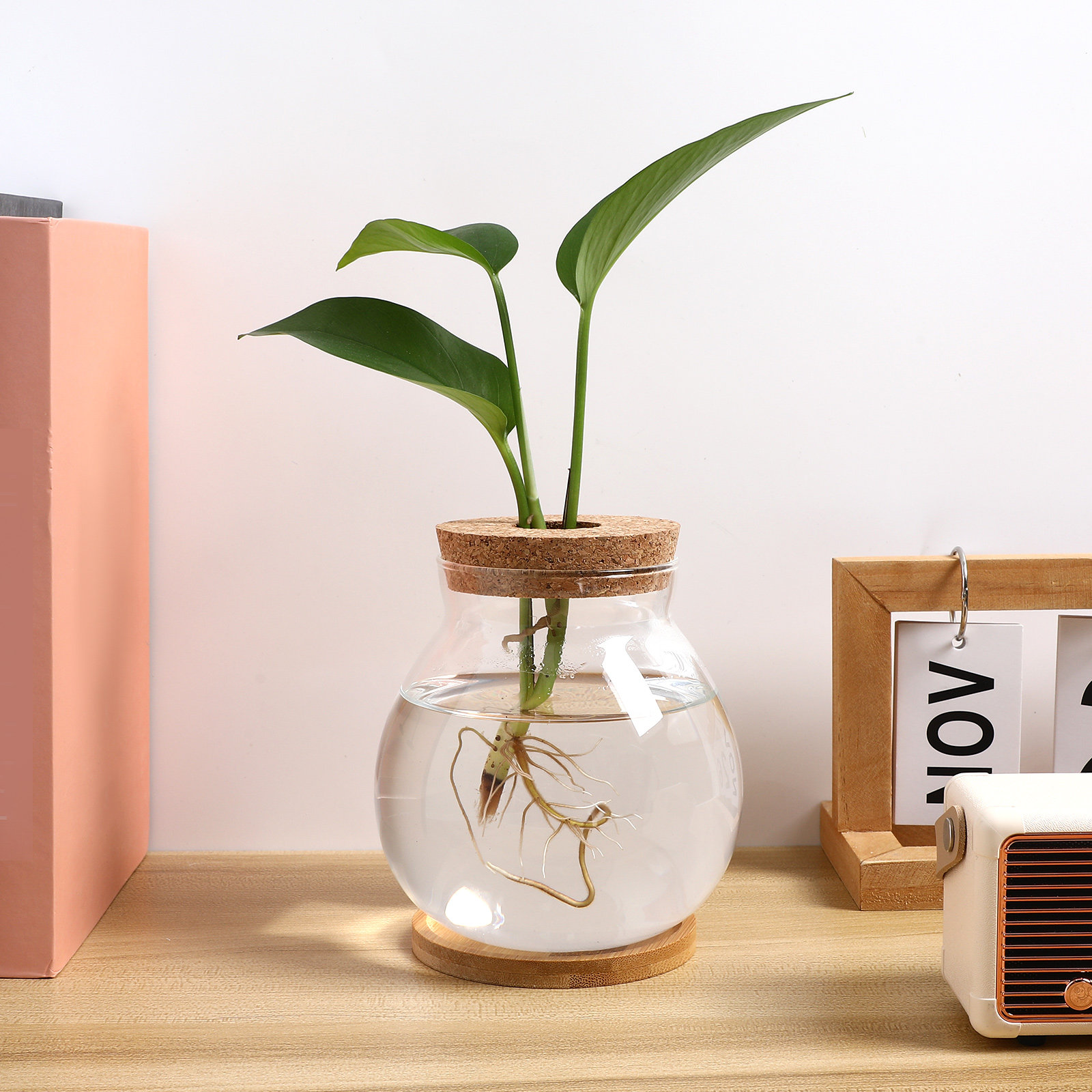 Aquarium de bureau en verre, p - Planted Aquarium Bowl avis et prix