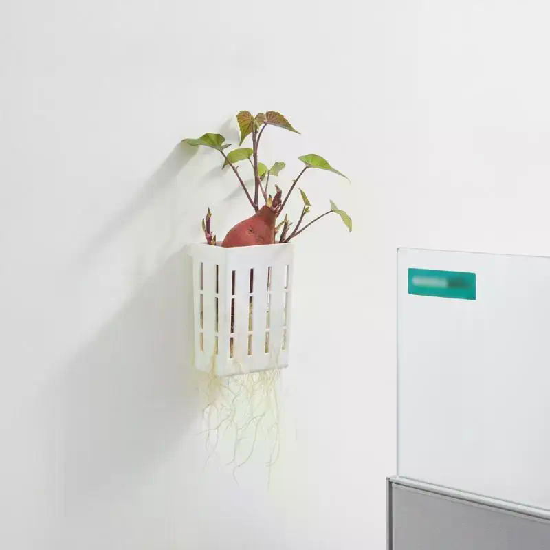 1 pièce Panier de support hydr - Aquarium Planting avis et prix