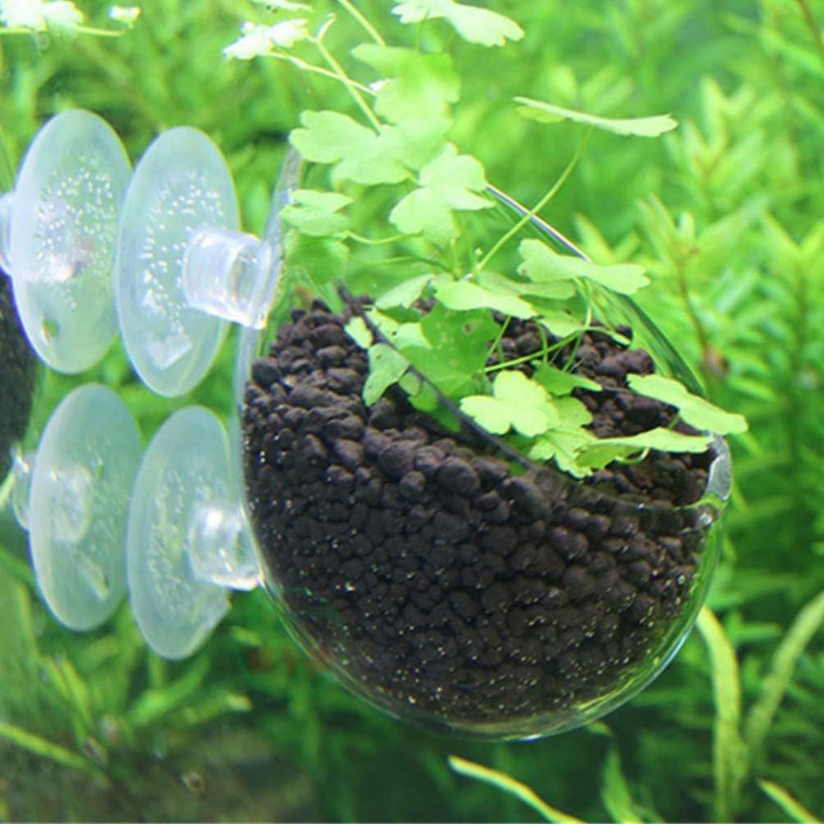 Support pour plantes d'aquariu - Planted Aquarium Aquascape avis et prix