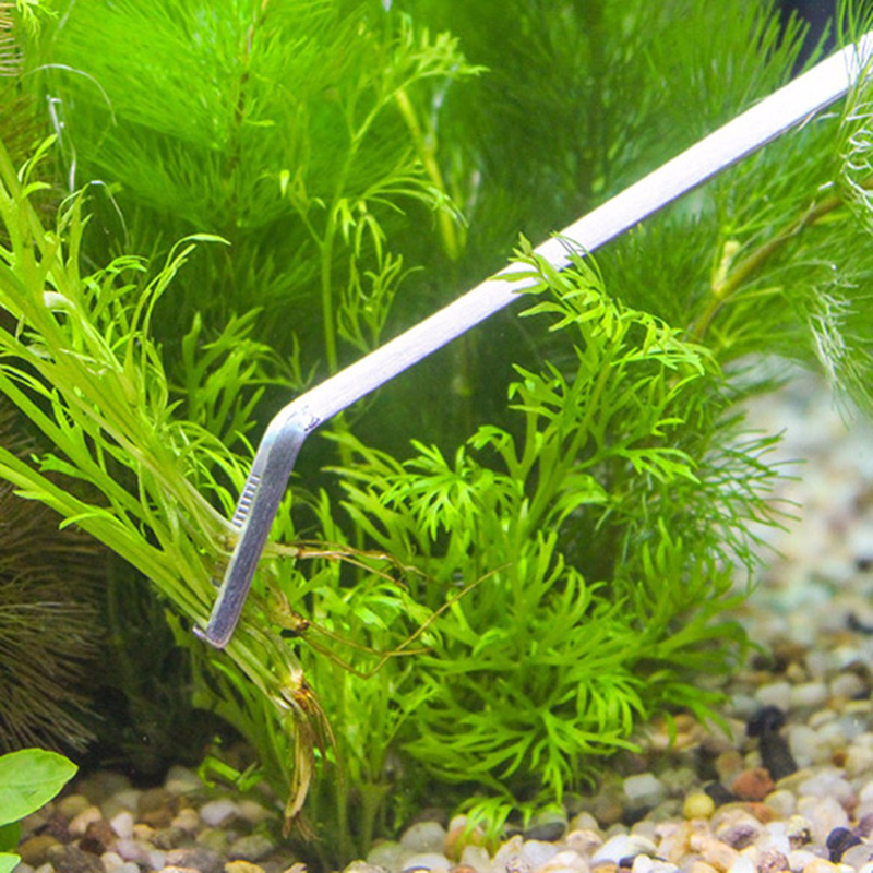 Kit d'outils professionnels d' - Planted Aquarium Maintenance Kit avis et prix