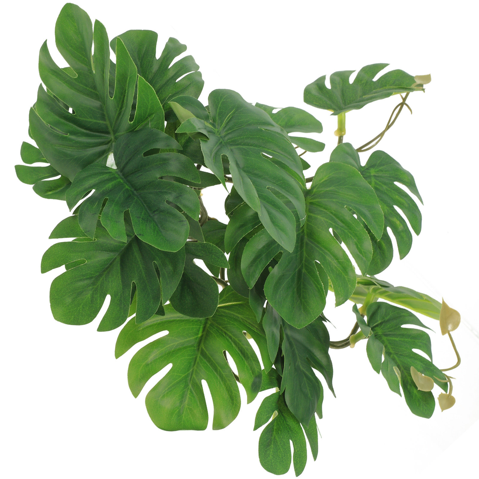 Plantes réalistes artificielle - Non Planted Aquarium Fish avis et prix