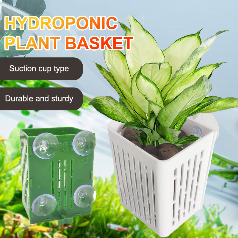 Porte-plante d'aquarium en pla - Planted Aquarium Aquascape avis et prix
