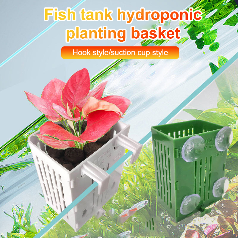 Porte-plante d'aquarium en pla - Planted Aquarium Aquascape avis et prix