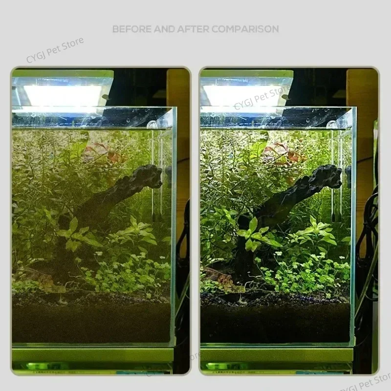 Outil de nettoyage d'aquarium, - Planted Aquarium Maintenance Kit avis et prix