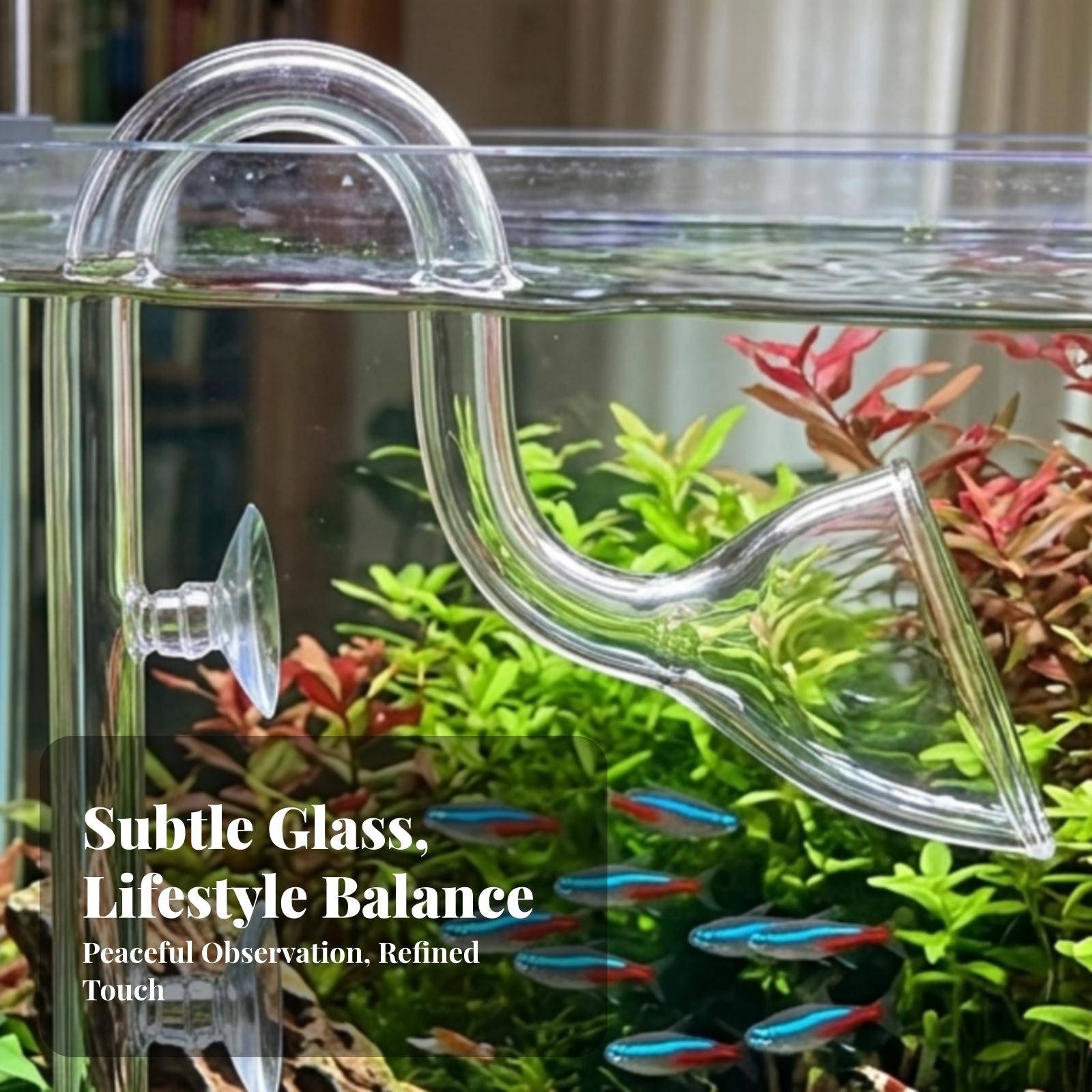 Ensemble de tuyaux Lily Pipe t - Planted Aquarium Aquascape avis et prix