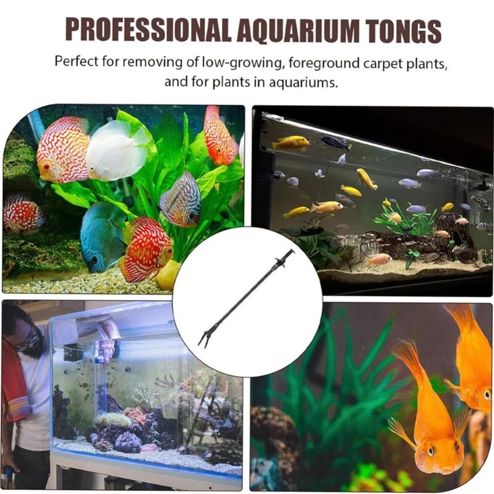 Pince à plantes aquatiques en  - Non Planted Aquarium Fish avis et prix