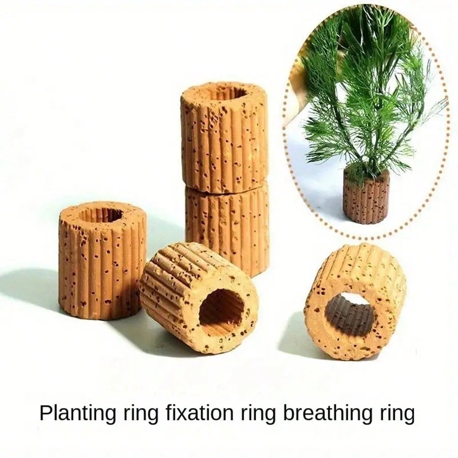 Anneaux de Fixation pour plant - Planted Aquarium Aquascape avis et prix