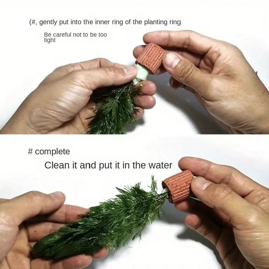 Anneaux de Fixation pour plant - Planted Aquarium Aquascape avis et prix