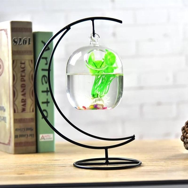 62kd Poisson en verre suspendu - Planted Aquarium Bowl avis et prix