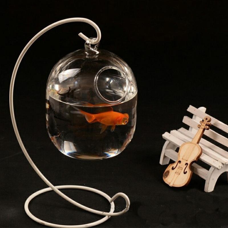 62kd Poisson en verre suspendu - Planted Aquarium Bowl avis et prix