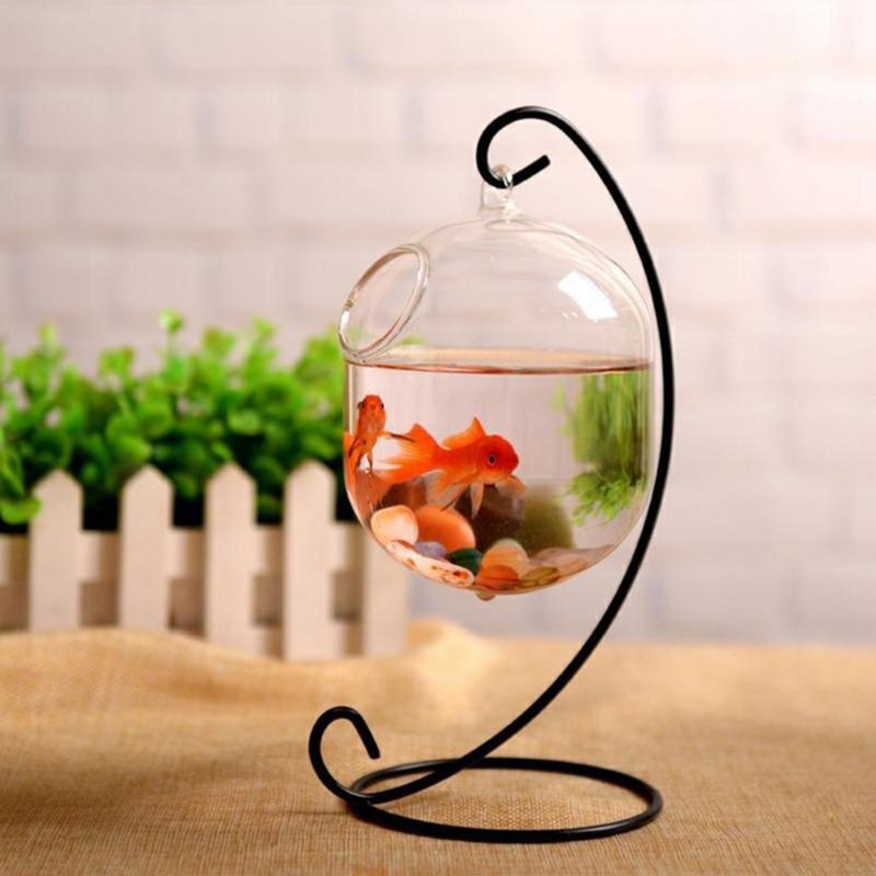 62kd Poisson en verre suspendu - Planted Aquarium Bowl avis et prix