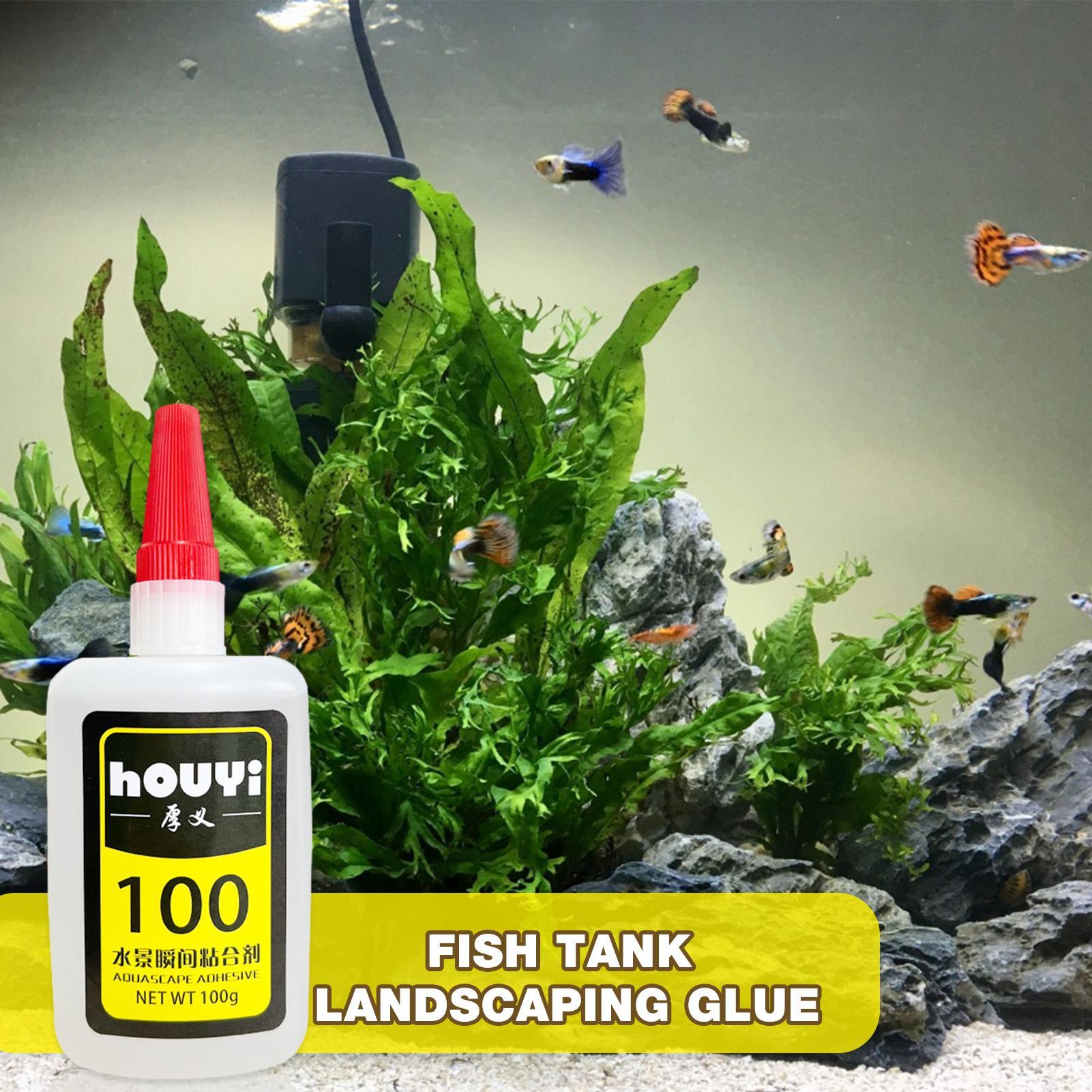 Colle instantanée transparente - Planted Aquarium Aquascape avis et prix