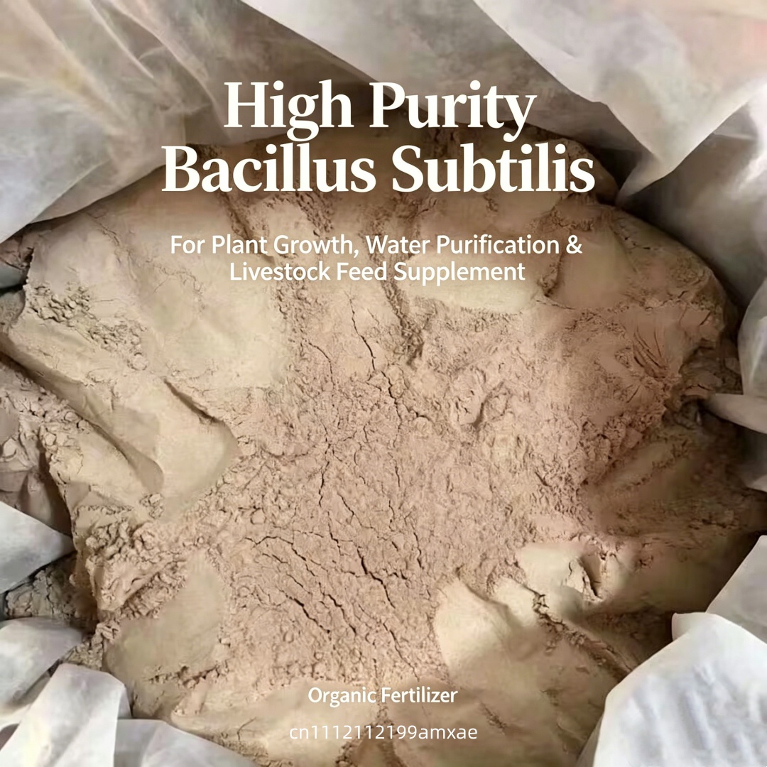 Poudre de Bacillus Subtilis à  - Aquarium Plant Fertilizer avis et prix