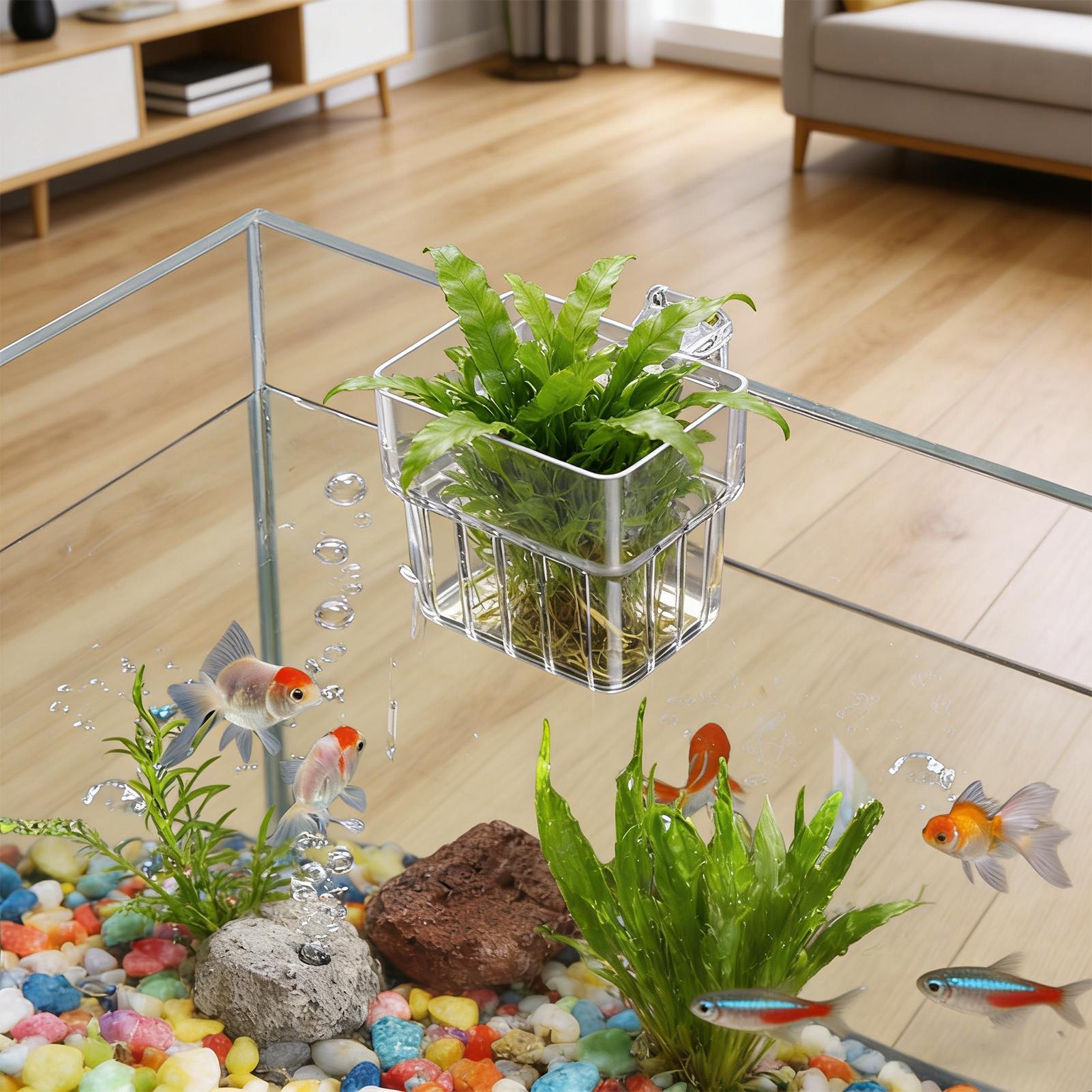 Pot de culture suspendu transp - Planted Aquarium Kit avis et prix