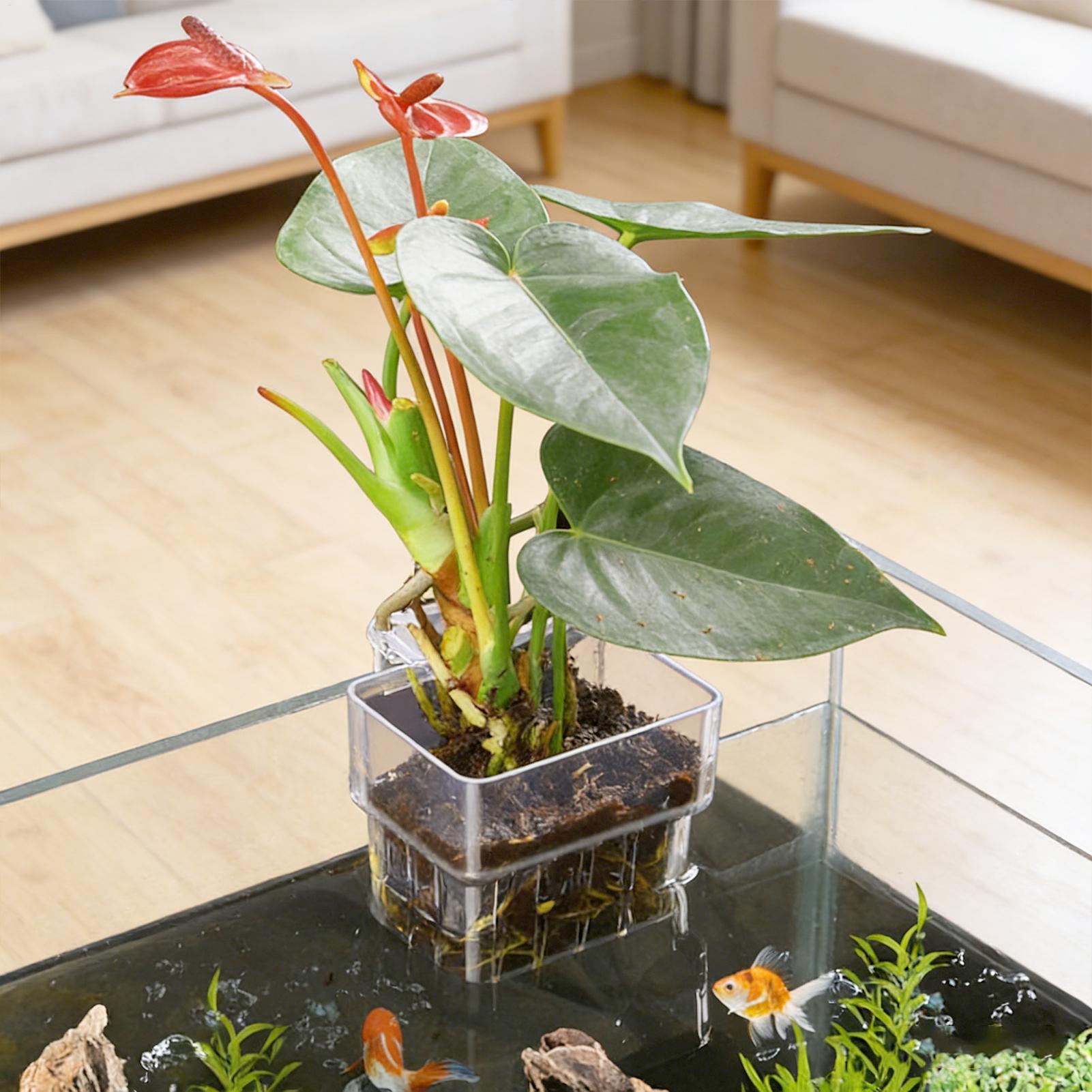 Pot de culture suspendu transp - Planted Aquarium Kit avis et prix