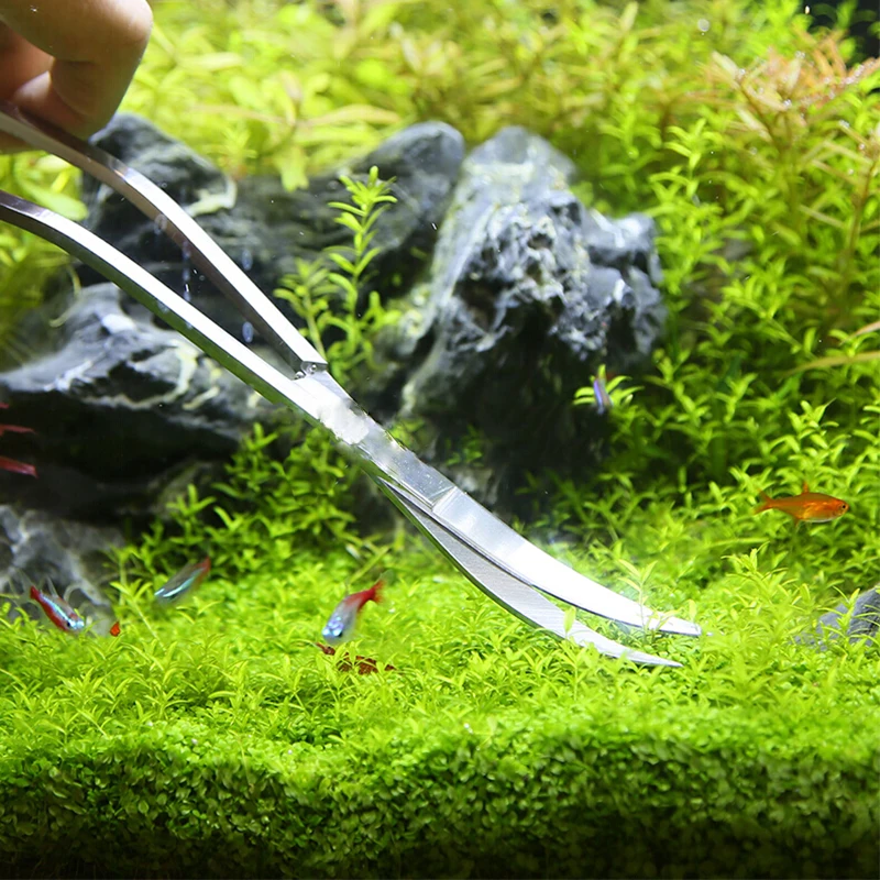 Outils de ciseaux d'aquarium,  - Planted Aquarium Kit avis et prix