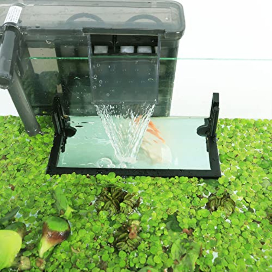 Corral pour plantes flottantes - Planted Aquarium Heater avis et prix