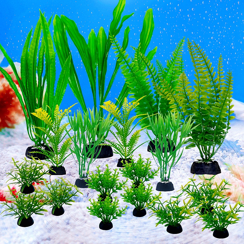Plante de Simulation d'aquariu - Planted Aquarium Bowl avis et prix