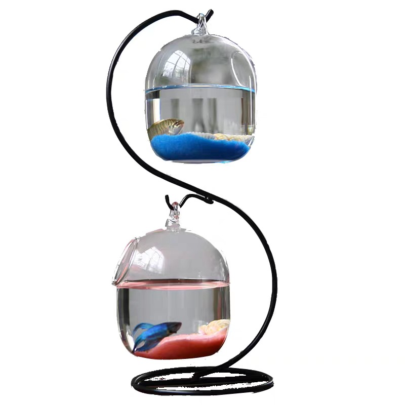 Bouteille d'Infusion Précieuse - Planted Aquarium Bowl avis et prix