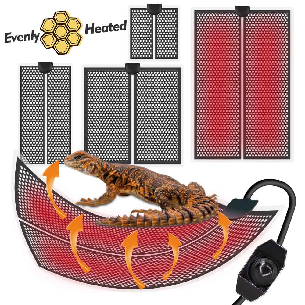 Coussin chauffant avec contrôl - Planted Aquarium Heater avis et prix