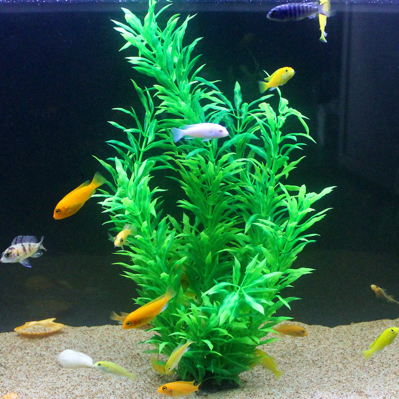 Plantes artificielles pour aqu - Aquarium Plant Grass avis et prix