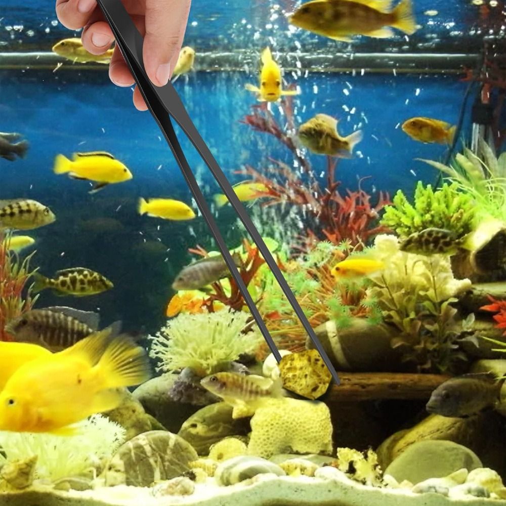 Pince longue pour aquarium en  - Non Planted Aquarium Fish avis et prix