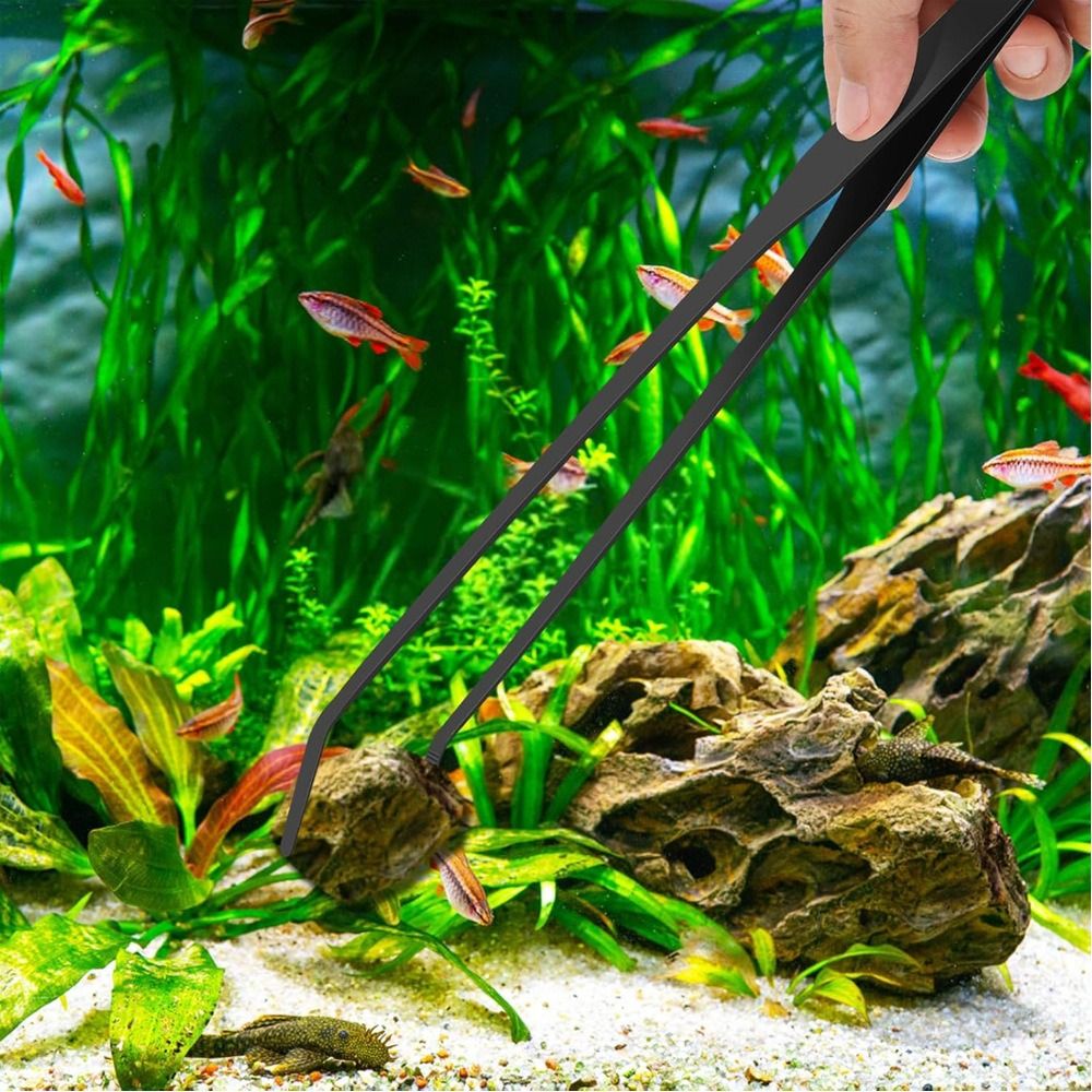Pince longue pour aquarium en  - Non Planted Aquarium Fish avis et prix