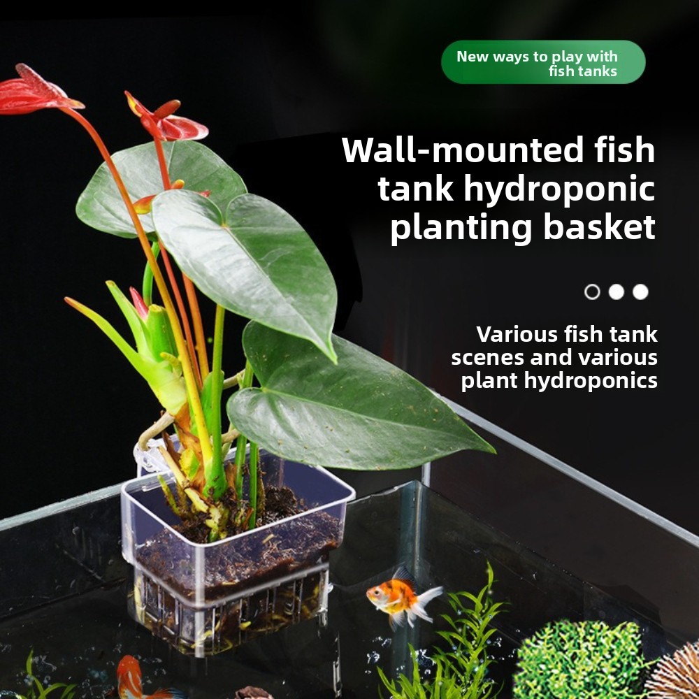 Panier de plantation hydroponi - Aquarium Plant Grass avis et prix